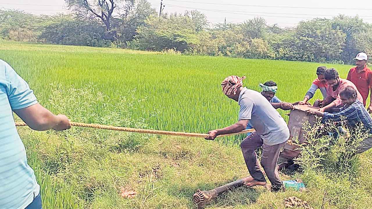 Farmer2