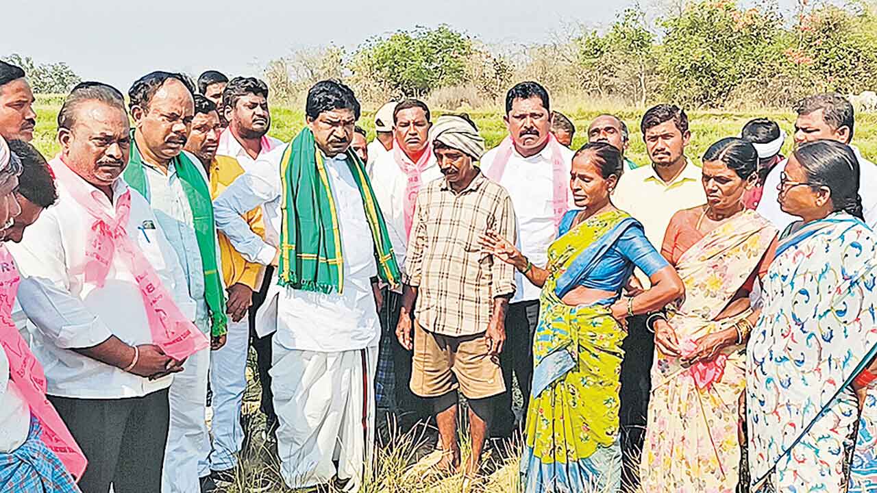 Farmer5