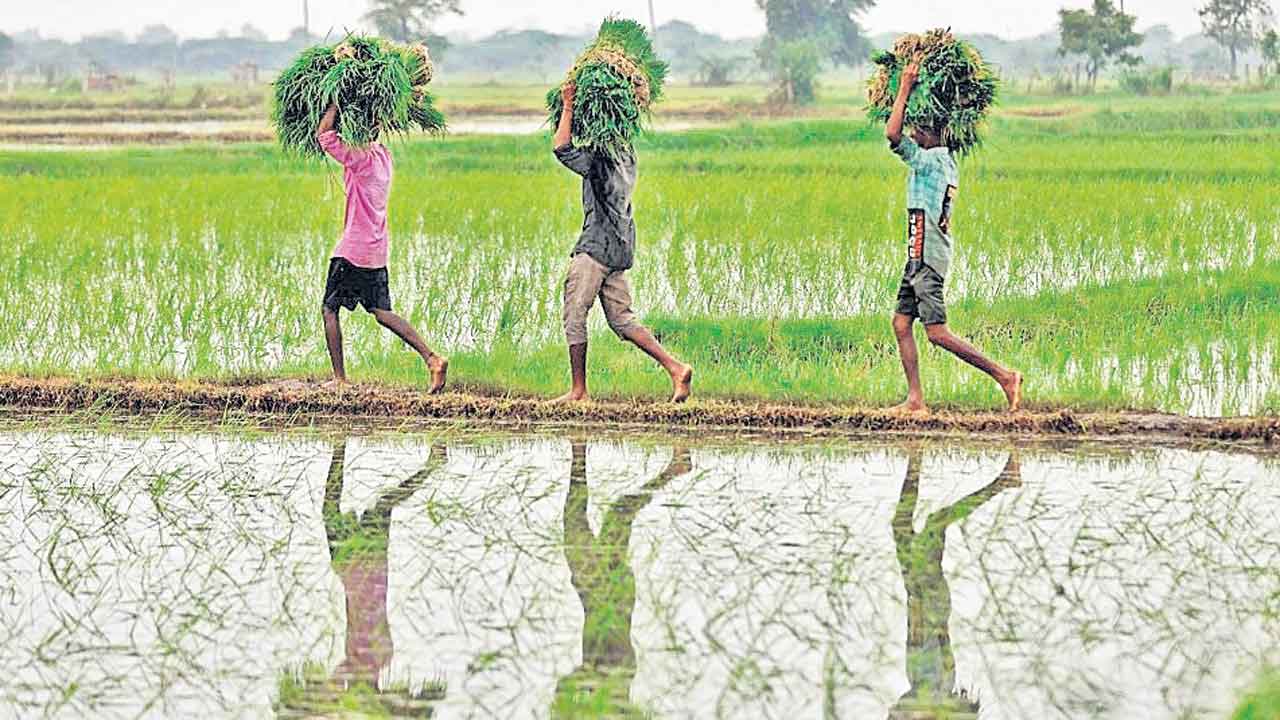 Congress Govt | చెప్పేదొకటి.. చేసేదొకటి! మంత్రుల మాటలకు.. బడ్జెట్‌ కేటాయింపులకు లేని పొంతన!