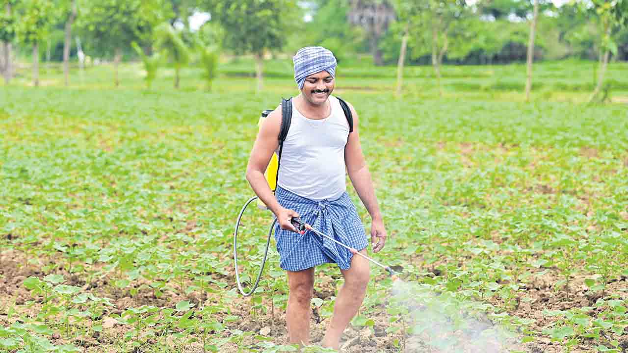 మాఫీ.. మాయాజాలం !