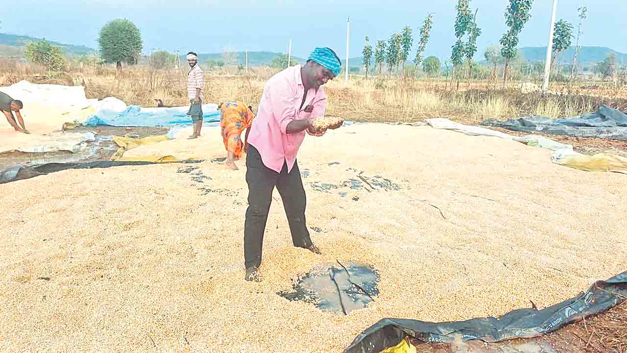 అకాల వర్షంతో రైతుకు తీరని నష్టం