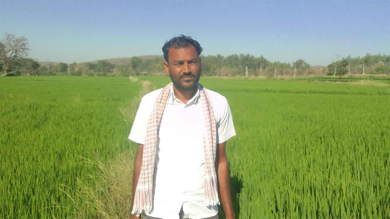 Ramayampet | ఎండుతున్న పొలాలు.. బోరుమంటున్న రైతులు.