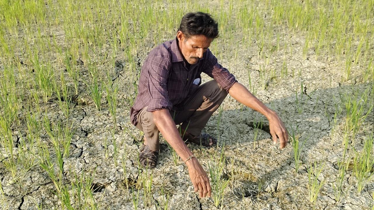 Farmers | కాలువల్లో నీళ్లు లేక.. రైతన్నల కన్నీళ్లు.. అన్నదాతల కష్టాలకు కాంగ్రెస్ ప్రభుత్వమే కారణమా?
