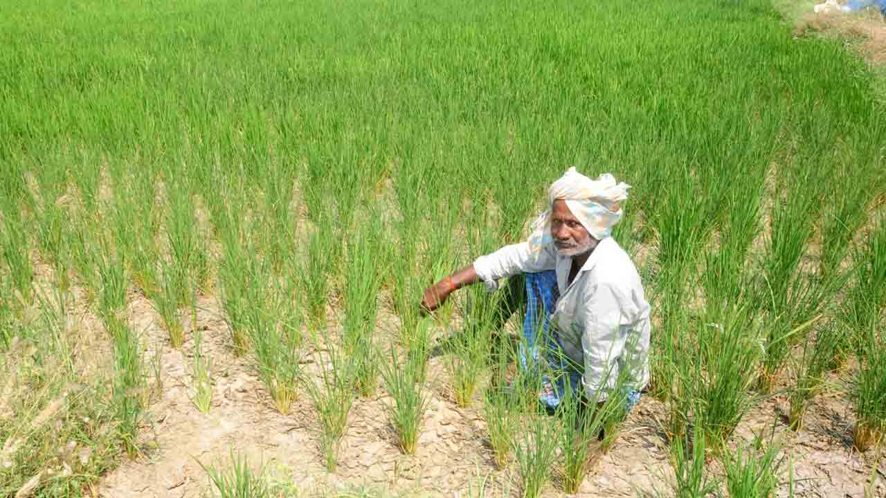 సాగునీటి కోసం తండ్లాట