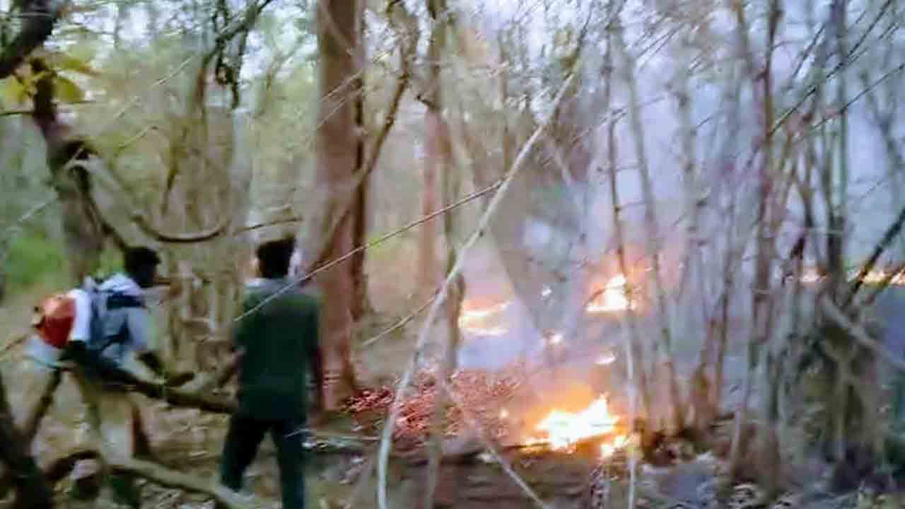 నల్లమలో కార్చిచ్చు