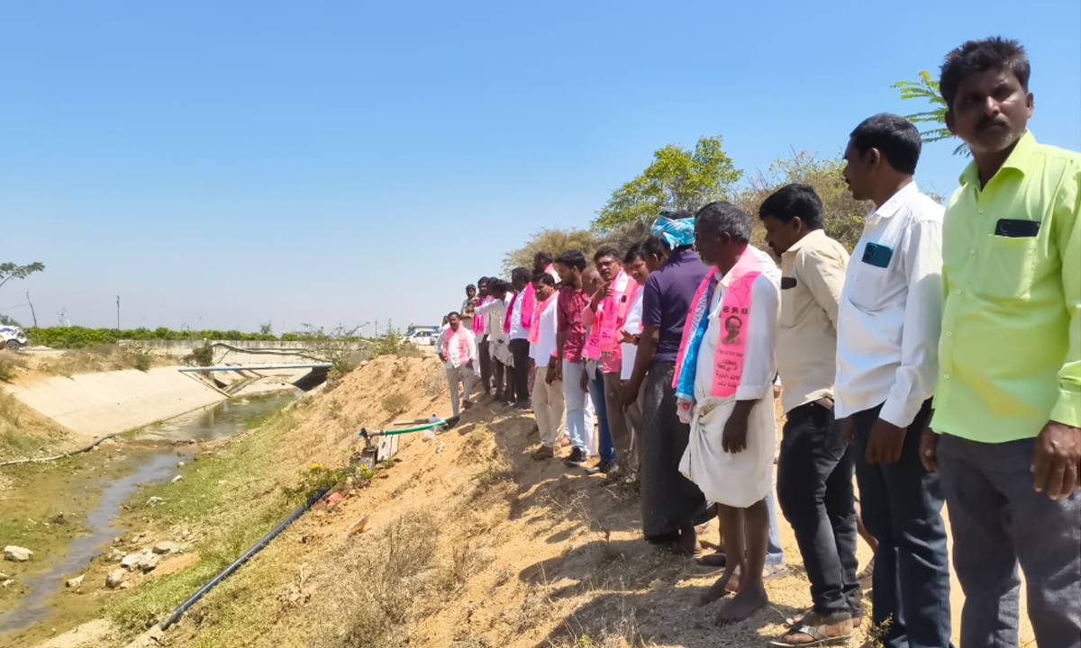 Gadwal 2