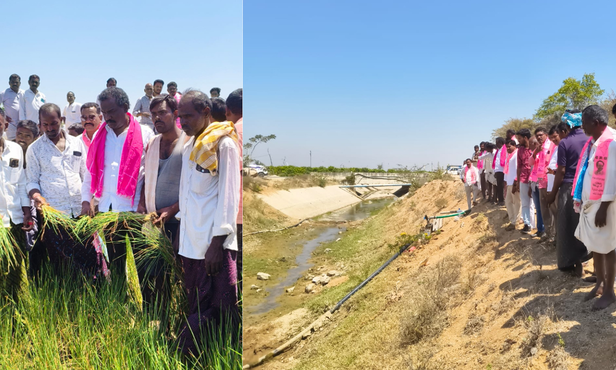పంటలెండిపోతున్నా పట్టించుకోరా?.. నెట్టెంపాడు చివరి ఆయకట్టుకు వెంటనే నీళ్లివ్వండి : బీఆర్‌ఎస్‌ నేత హనుమంతునాయుడు