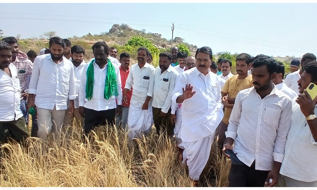 Gadwal