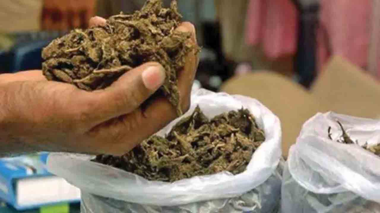 Ganja | భద్రాచలంలో 9 కిలోల గంజాయి పట్టివేత.. ముగ్గురు అరెస్ట్
