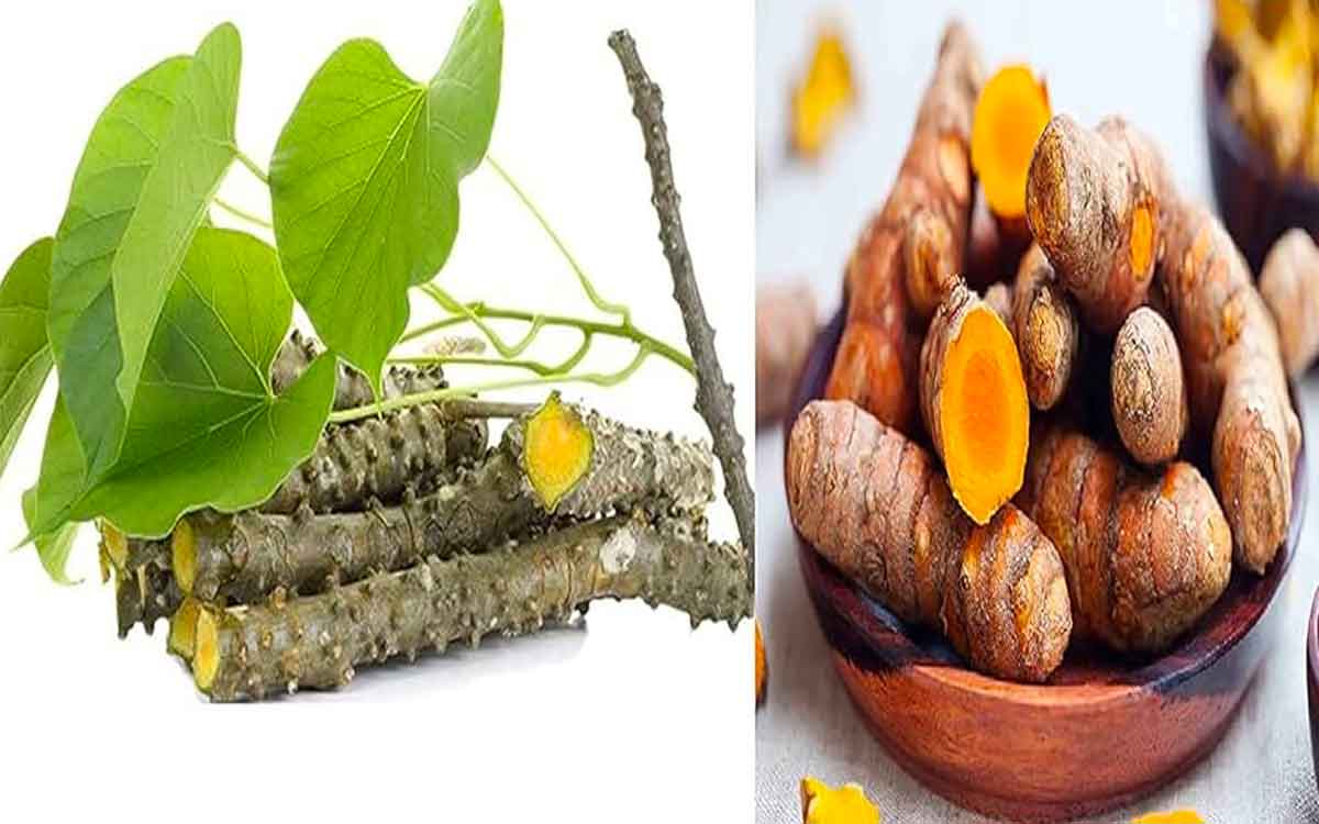 Giloy And Turmeric | తిప్ప‌తీగ ర‌సంలో ప‌సుపు క‌లిపి తాగితే ఎన్ని లాభాలు ఉంటాయో తెలుసా..? అనేక వ్యాధులు న‌య‌మ‌వుతాయి..!