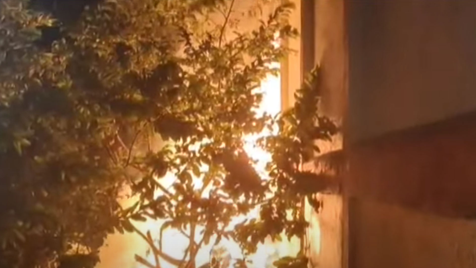 Fire Accident | శీతల గిడ్డంగిలో భారీ అగ్నిప్రమాదం.. 40 వేల మిర్చి బస్తాలు దగ్దం