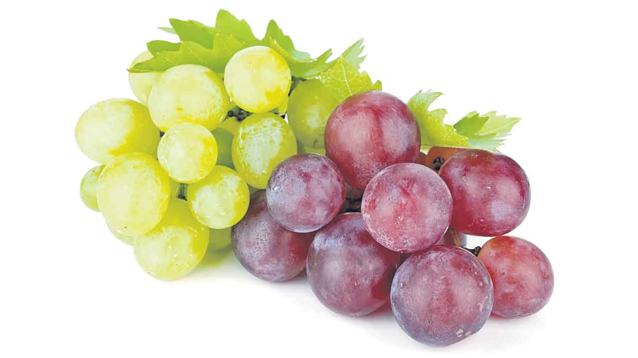 ఏ ద్రాక్ష మంచిది?