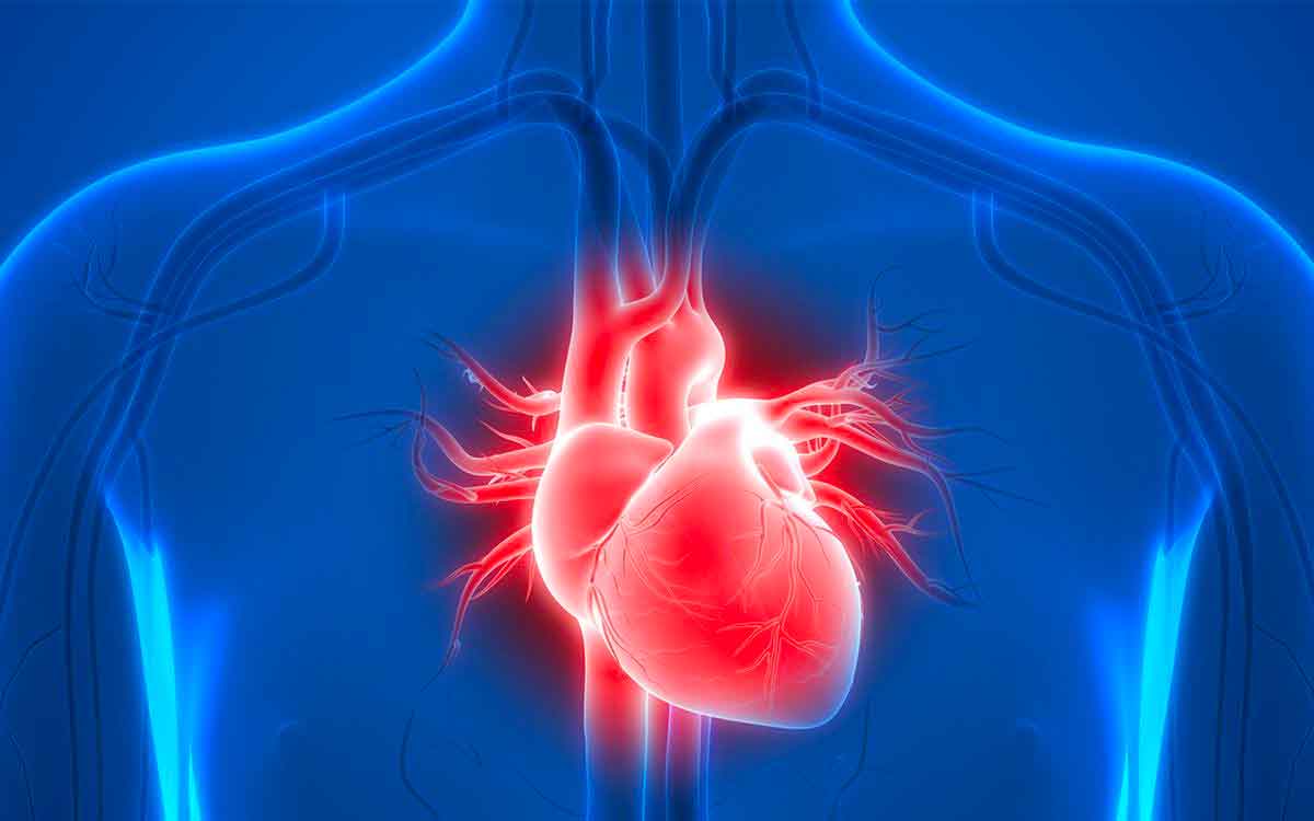 Heart Health | ఈ ఆహారాల‌ను తింటే మీకు గుండె పోటు అస‌లు రాదు.. గుండె ఆరోగ్యంగా ఉంటుంది..