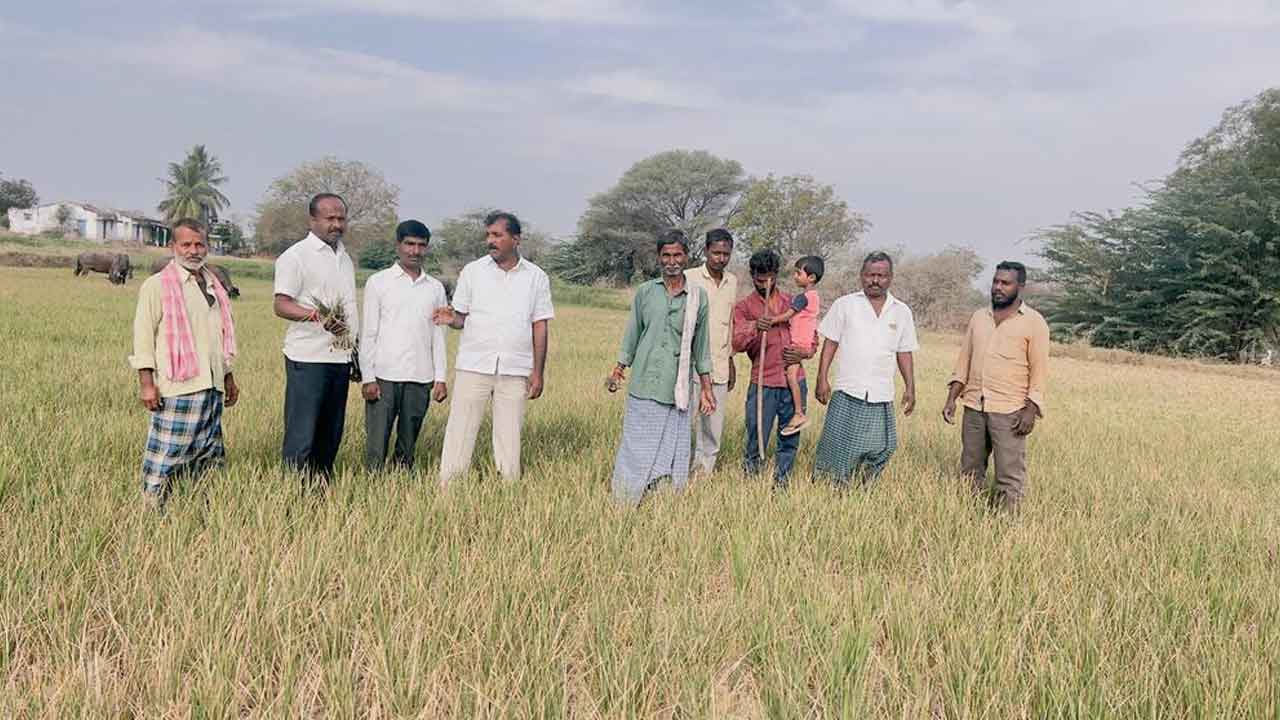 Janagama | ఎండిన పంట పొలాలను పరిశీలించిన మాజీ ఎంపీపీ