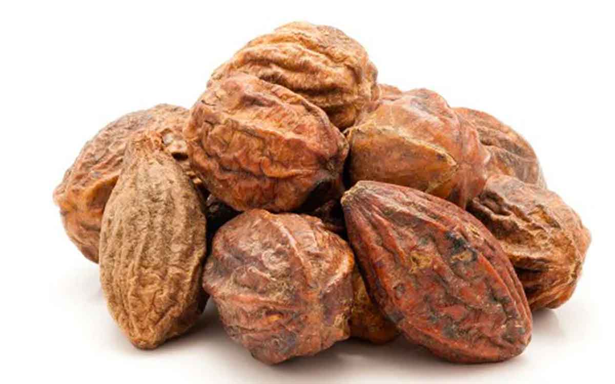 Karakkaya | అనేక వ్యాధుల‌ను త‌గ్గించే క‌ర‌క్కాయ.. దీంతో ఎలాంటి లాభాలు క‌లుగుతాయంటే..?