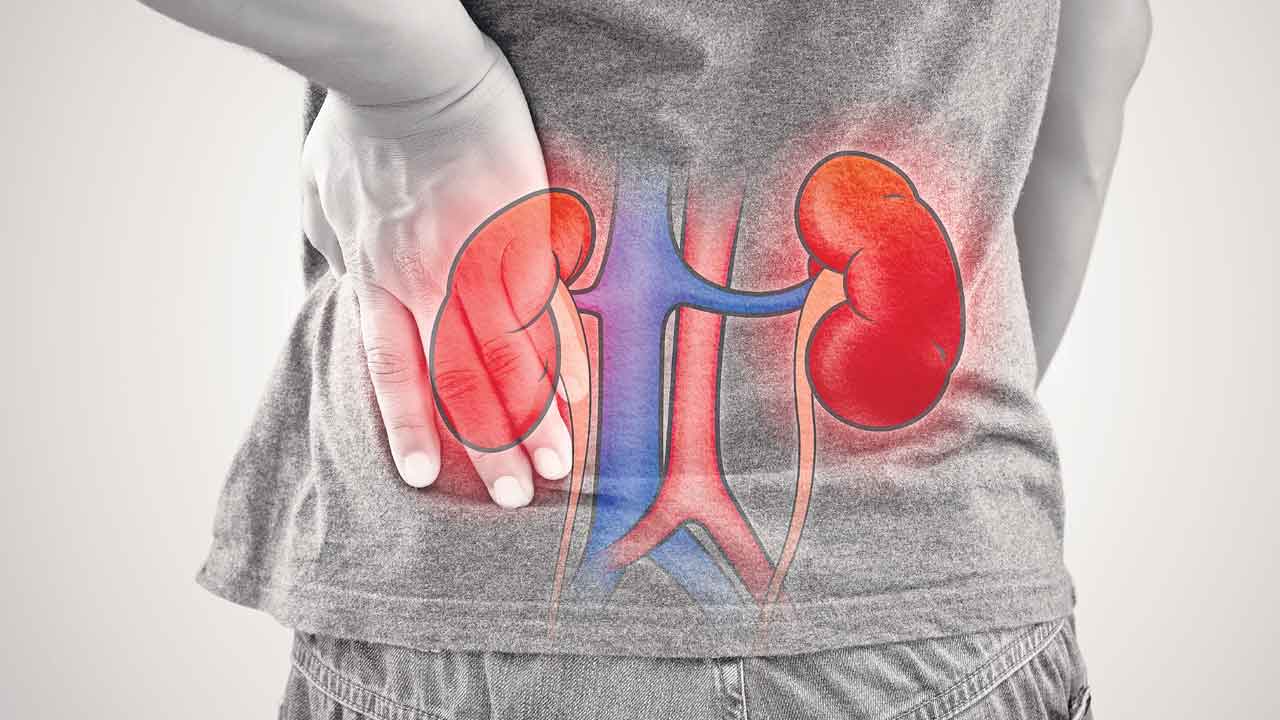 పసి కిడ్నీలు పదిలం