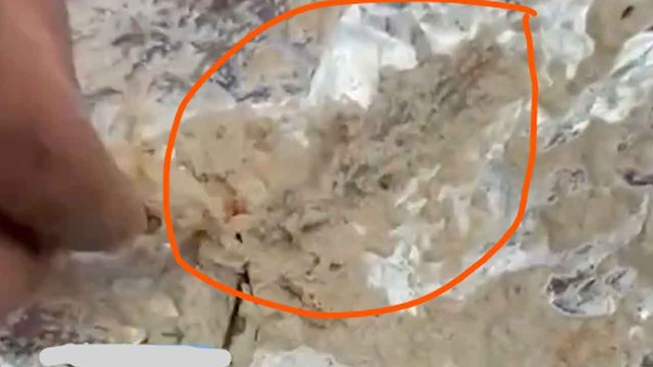 బల్లిపడ్డ చట్ని తిని నలుగురికి అస్వస్థత