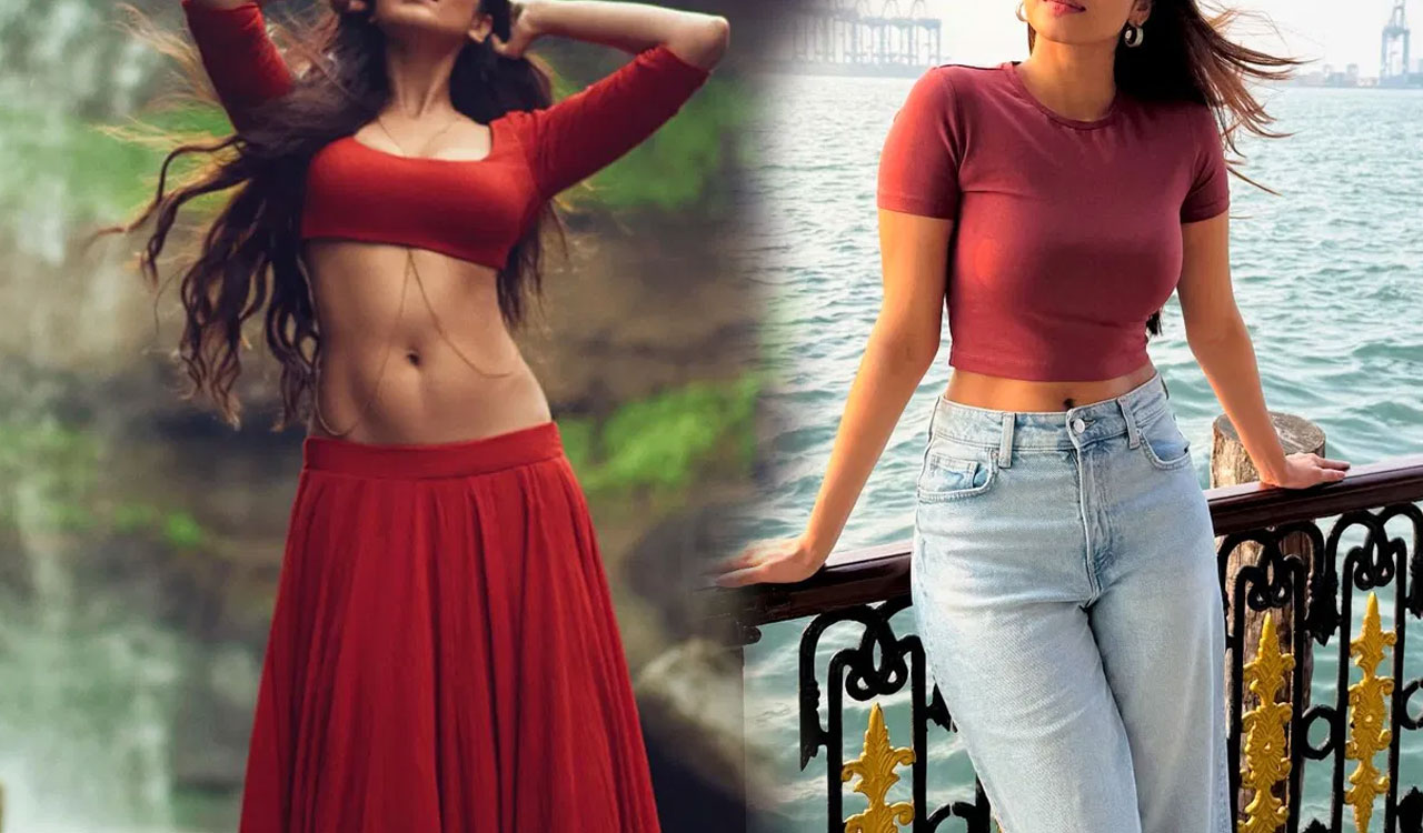 Heroine| మిమ్మ‌ల్ని పెళ్లి చేసుకొని మీకు న‌చ్చినంటూ ఉంటానంటూ హీరోయిన్‌కి ఫ్యాన్ మెసేజ్.. రిప్లై ఏంటంటే..!