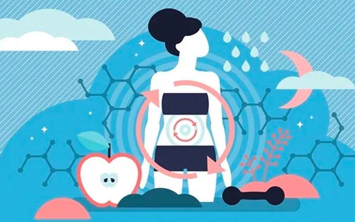 Metabolism | భోజ‌నం చేసిన త‌రువాత వీటిని తీసుకోండి.. శ‌రీర మెట‌బాలిజం పెరిగి కొవ్వు క‌రుగుతుంది..!