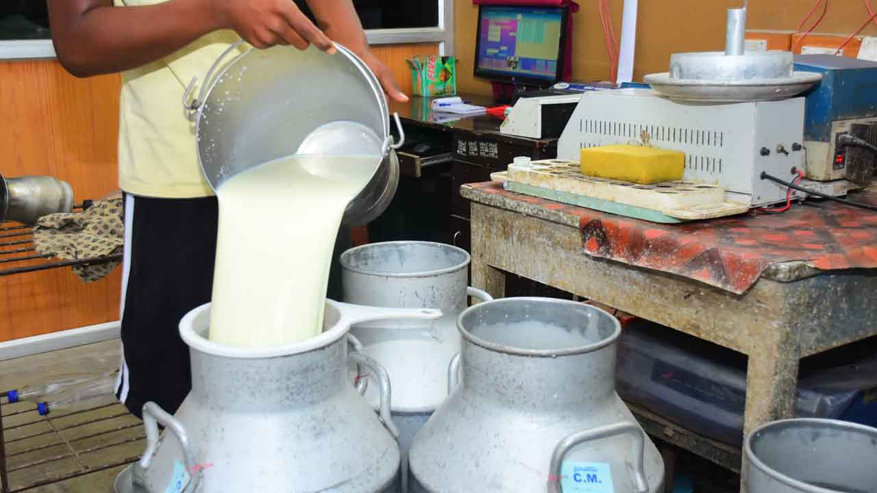 పాల బిల్లుల వస్తలేవు.. అటు మదర్‌ డెయిరీ.. ఇటు విజయ డెయిరీ