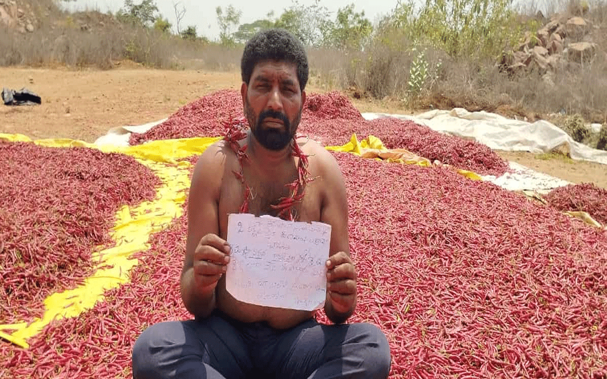 Chilli farmers : కాంగ్రెస్‌ సర్కారు వైఖరి నిరసిస్తూ మిర్చి రైతు వినూత్న నిరసన