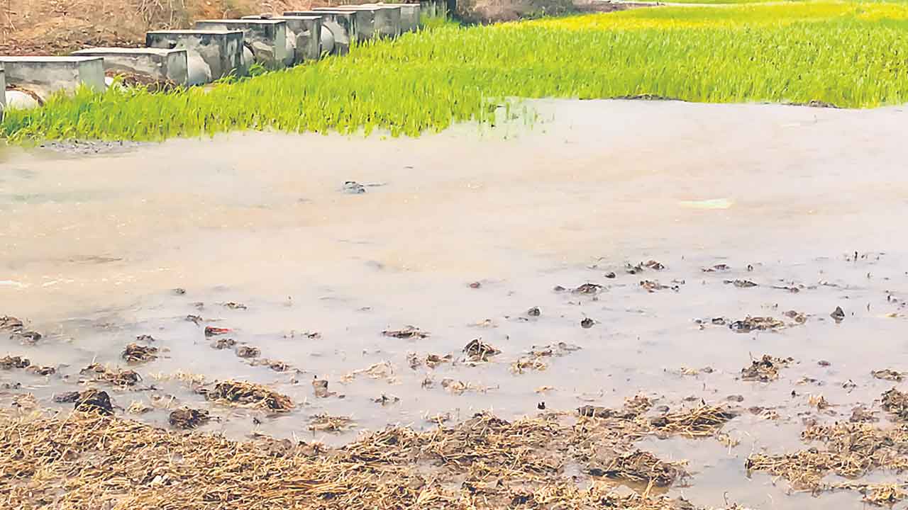 Devadula Project | దేవాదుల టన్నెల్‌కు బీటలు.. మూడో దశ మోటర్‌ నీటి సరఫరా మూడు రోజుల ముచ్చటే