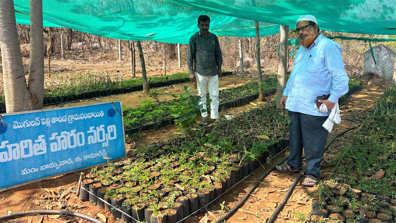 మొక్కలు ఎండిపోకుండా జాగ్రత్త తీసుకోవాలి : ఎంపీడీవో