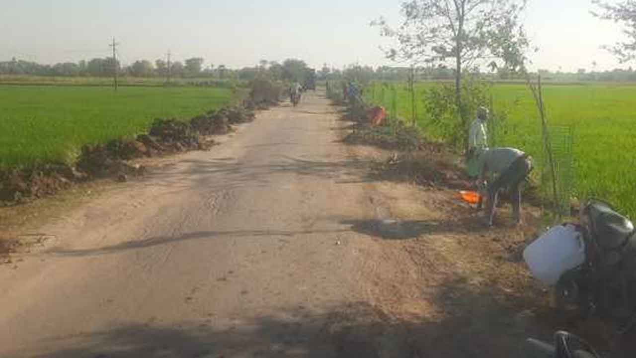 Nallabelli | నిబంధనలకు తిలోదకాలు.. రోడ్డుపైనే చెట్ల పెంపకం