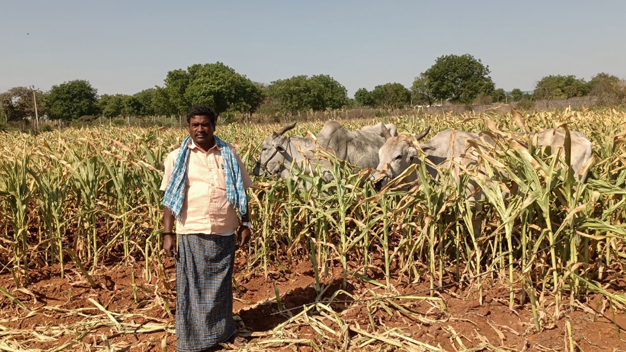 Nandigama | కాంగ్రెస్ ప్రభుత్వం వచ్చింది.. క‌రెంట్ కష్టాలు తెచ్చింది..