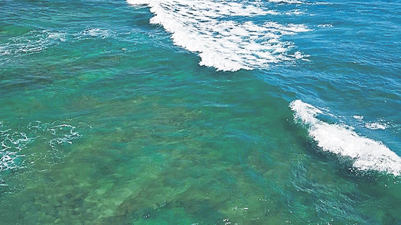 అంటార్కిటిక్‌ ప్రవాహం మందగమనం