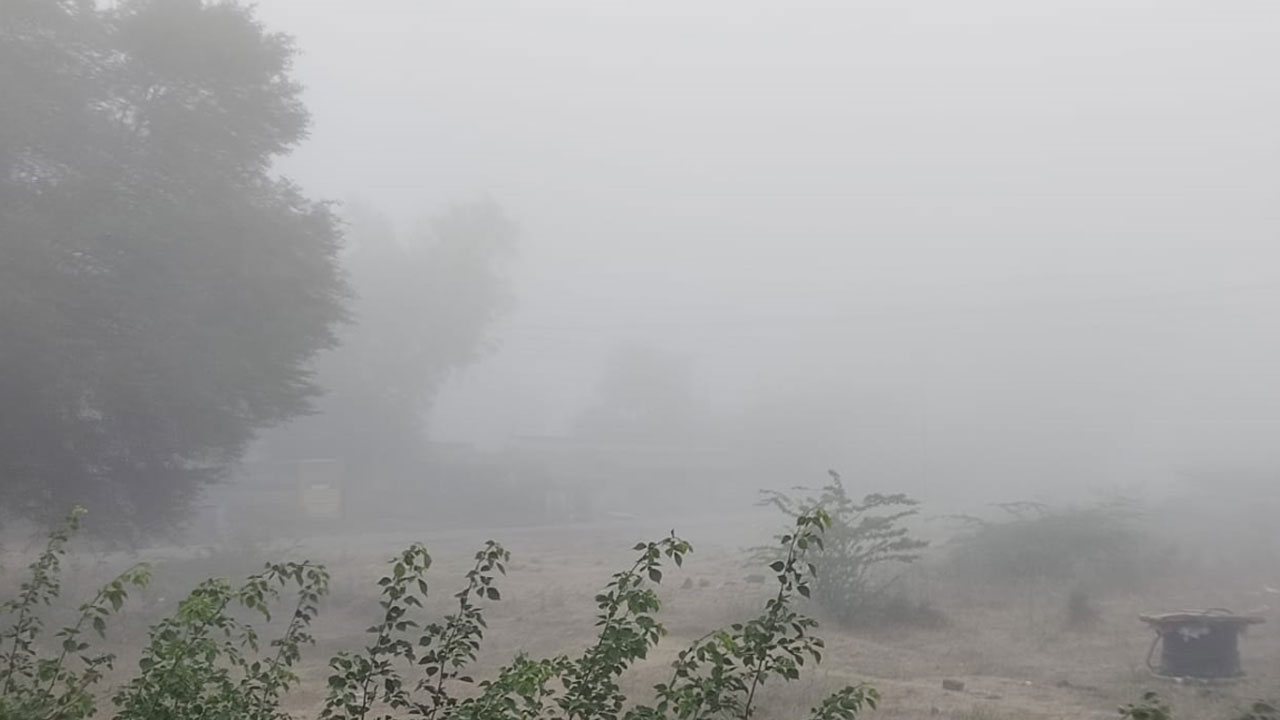 Odela | సిమ్లాను త‌ల‌పించేలా.. ఓదెల మండలంలో మంచు తుఫాను..