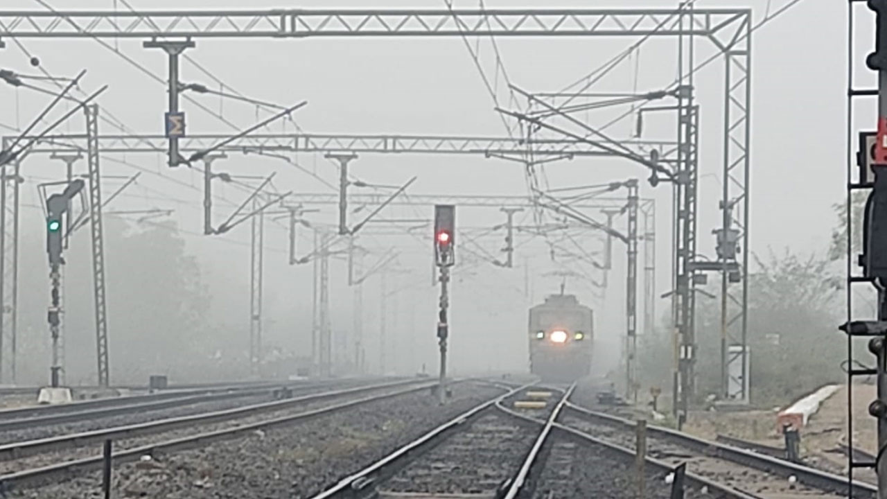 Odela Cold2