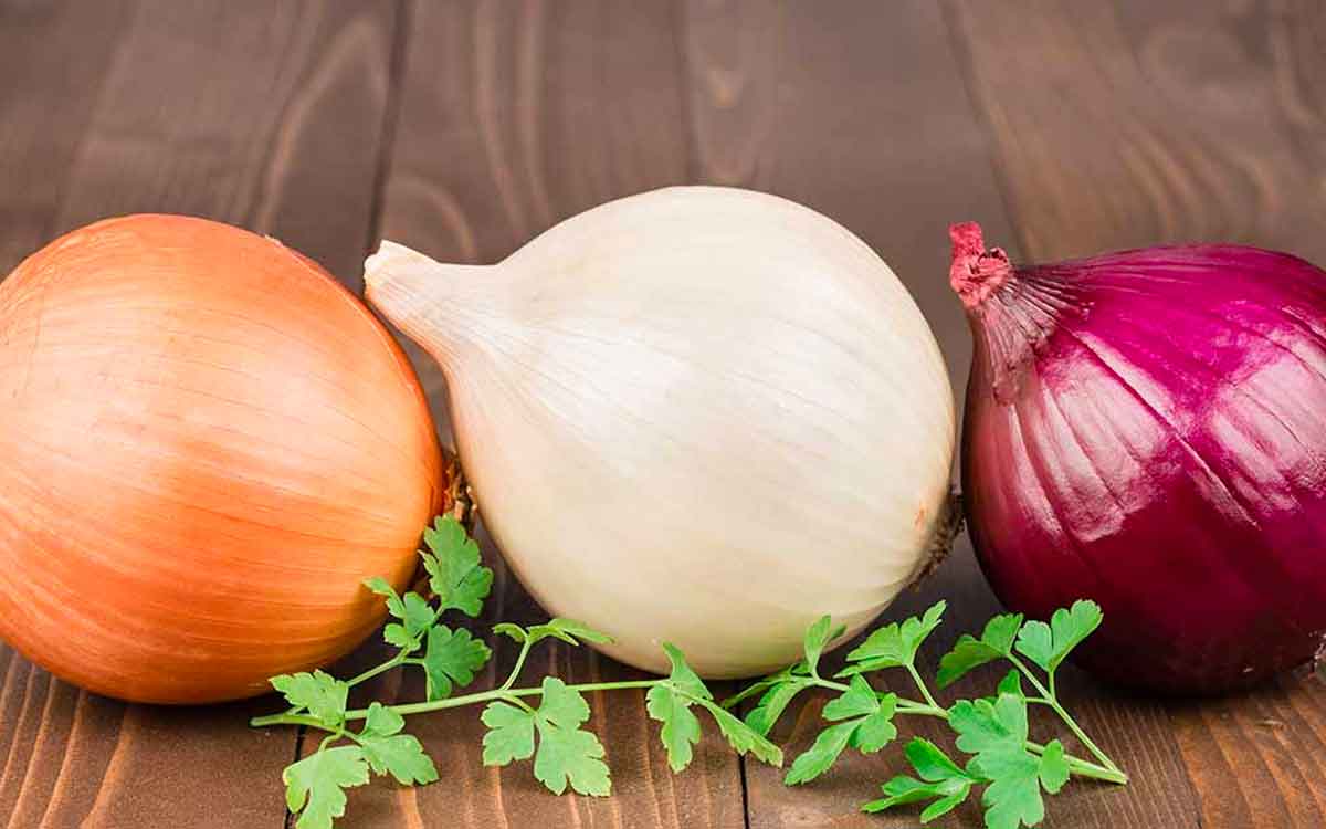 Onions | రోజూ ప‌చ్చి ఉల్లిపాయ‌ల‌ను తింటే ఇన్ని లాభాల‌ను పొంద‌వ‌చ్చా..?