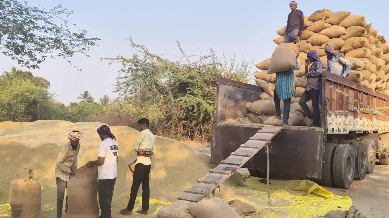 ఈ సర్కార్‌పై నమ్మకం లేదు సారూ.. ప్రభుత్వాన్ని నమ్ముకోకుండా దళారులకు పంట అమ్మేస్తున్న రైతన్నలు