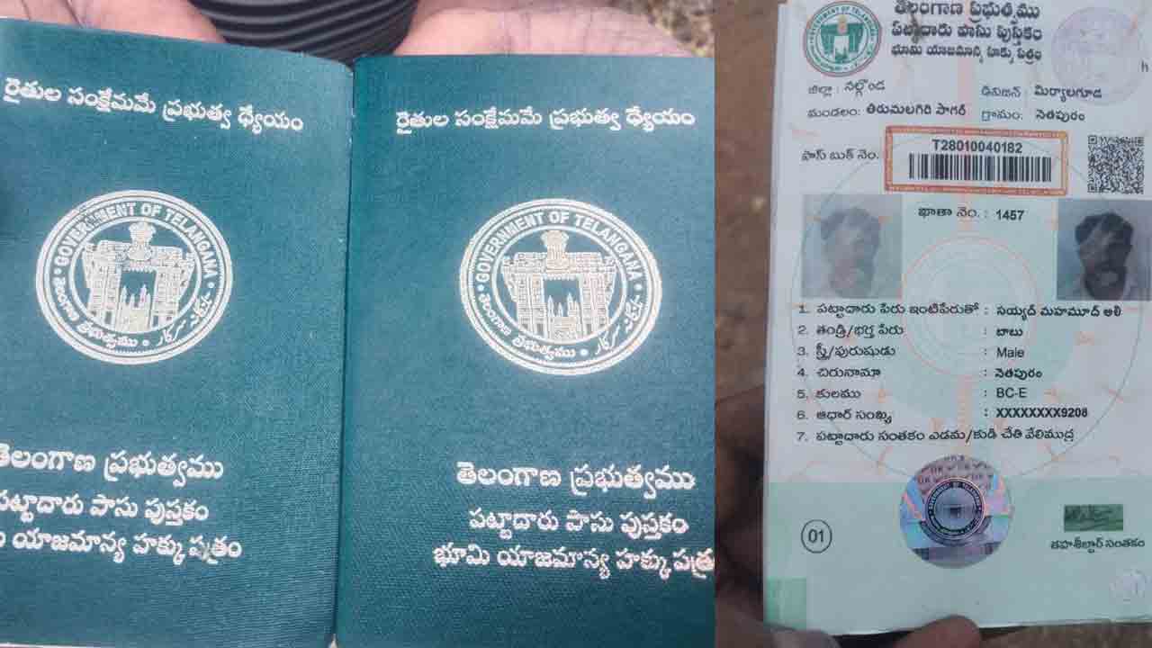 అటవీ భూములపై నకిలీ పాస్‌ పుస్తకాల దందా