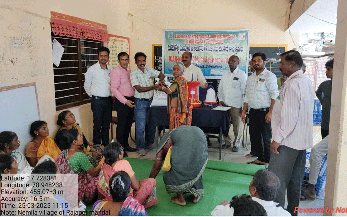 Chickens Distribution : నెమిలలో మ‌హిళ‌ల‌కు పెరటి కోళ్ల పంపిణీ
