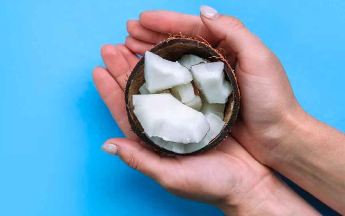 Raw Coconut | రోజూ ఉద‌యం ప‌చ్చికొబ్బ‌రిని క‌చ్చితంగా తినాల్సిందే.. ఎందుకో తెలుసా..?