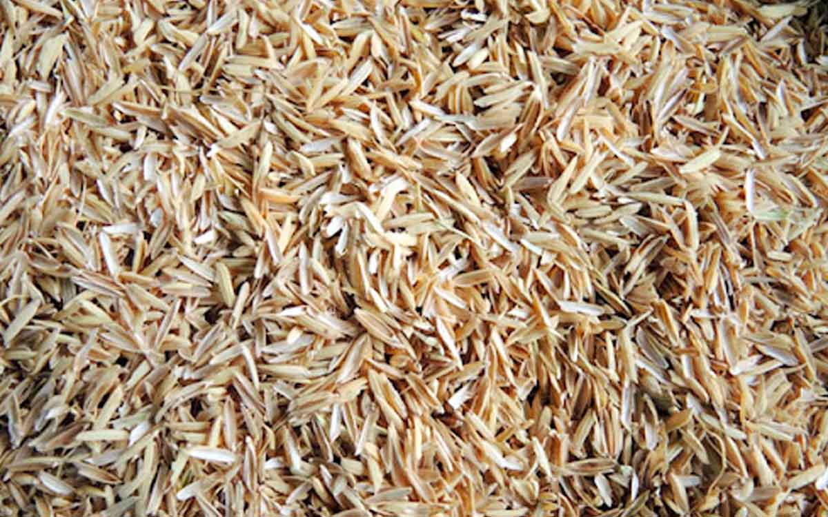 Rice Husk | త‌వుడును అంత తేలిగ్గా తీసిపారేయ‌వ‌ద్దు.. ఎన్నో పోష‌కాల‌కు నెల‌వు ఇది..!