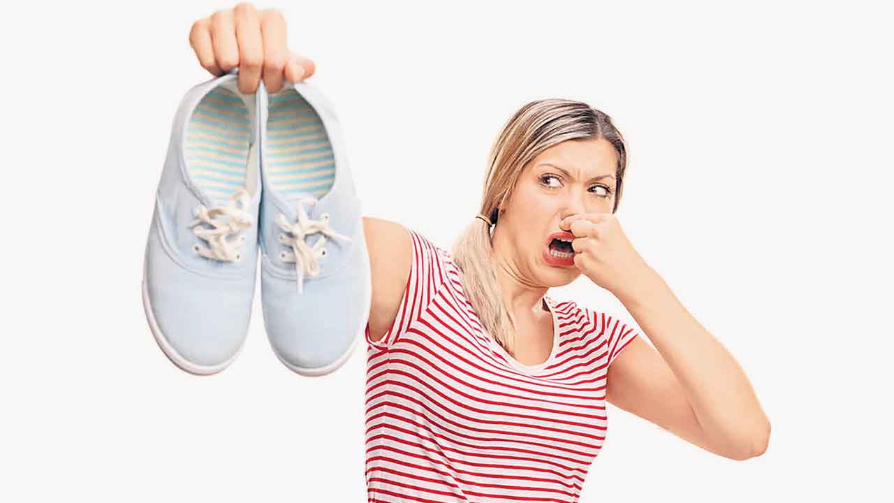 వాసన.. వాపస్‌!