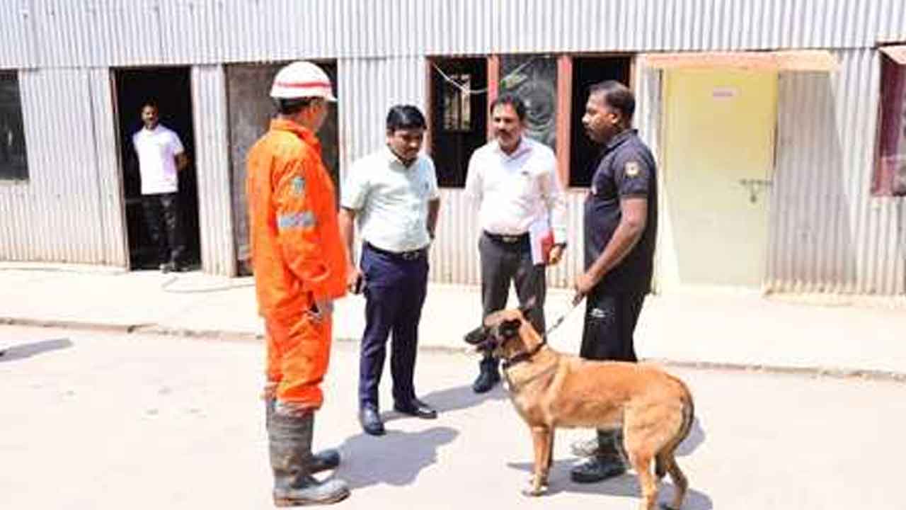 SLBC tunnel | కొనసాగుతున్న సహాయక చర్యలు.. టన్నెల్లోకి మరోసారి క్యాడవర్ డాగ్స్