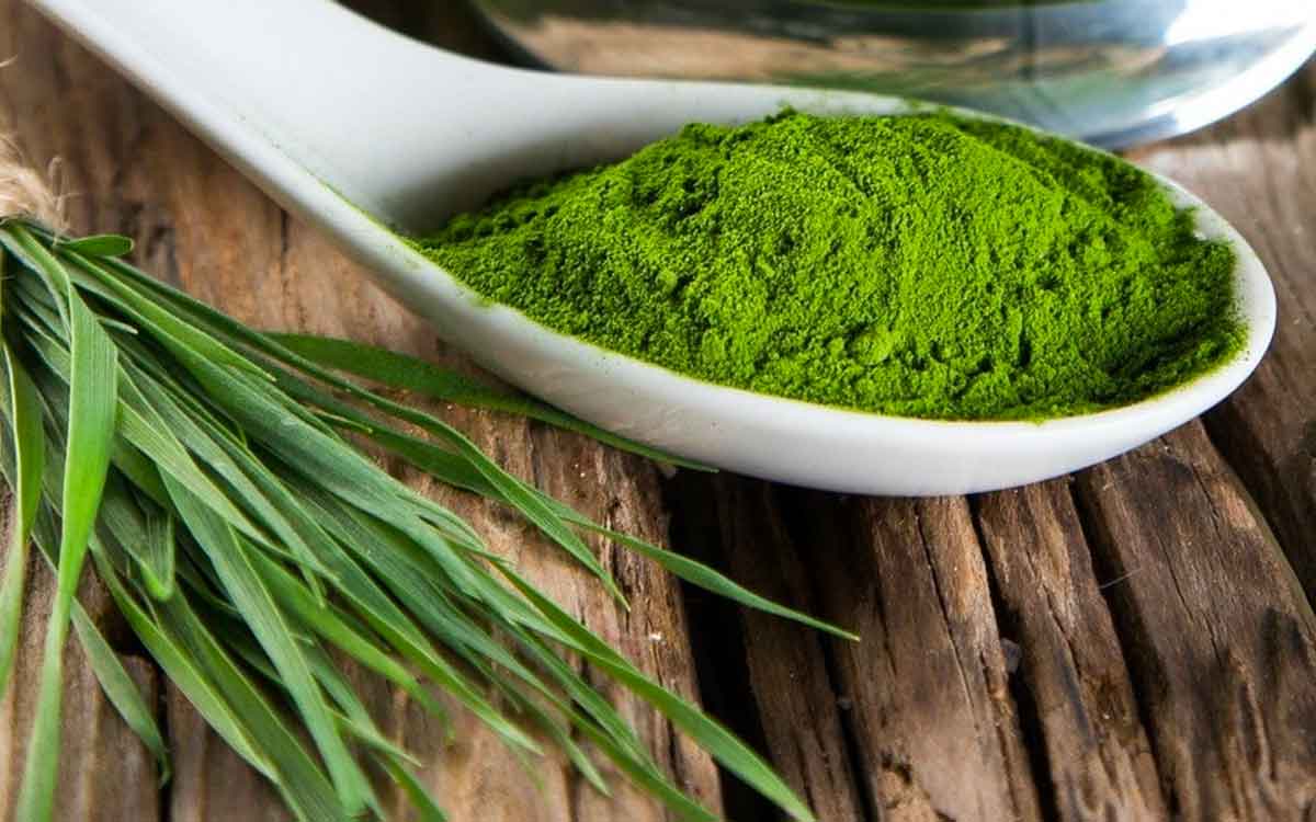 Spirulina | క్యాన్స‌ర్ ఉన్న‌వారికి వ‌రం.. ఈ పొడి.. ఇంకా ఎన్నో లాభాలు..!