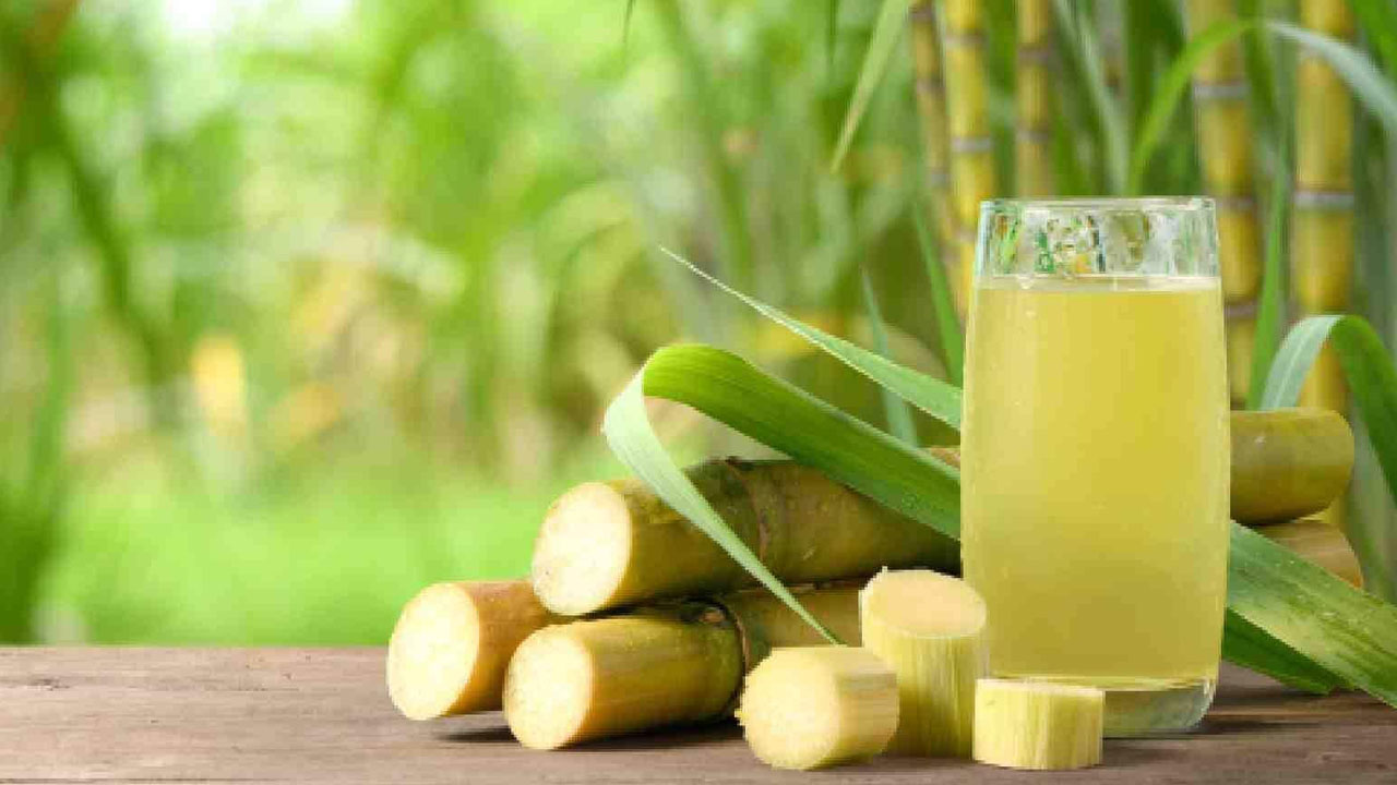 Sugarcane