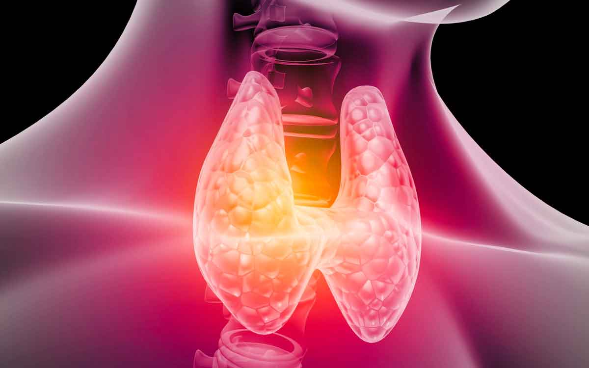 Foods For Thyroid | థైరాయిడ్‌తో బాధ‌ప‌డుతున్నారా..? ఈ ఆహారాల‌ను తినండి.. ఎంతో మేలు జ‌రుగుతుంది..!