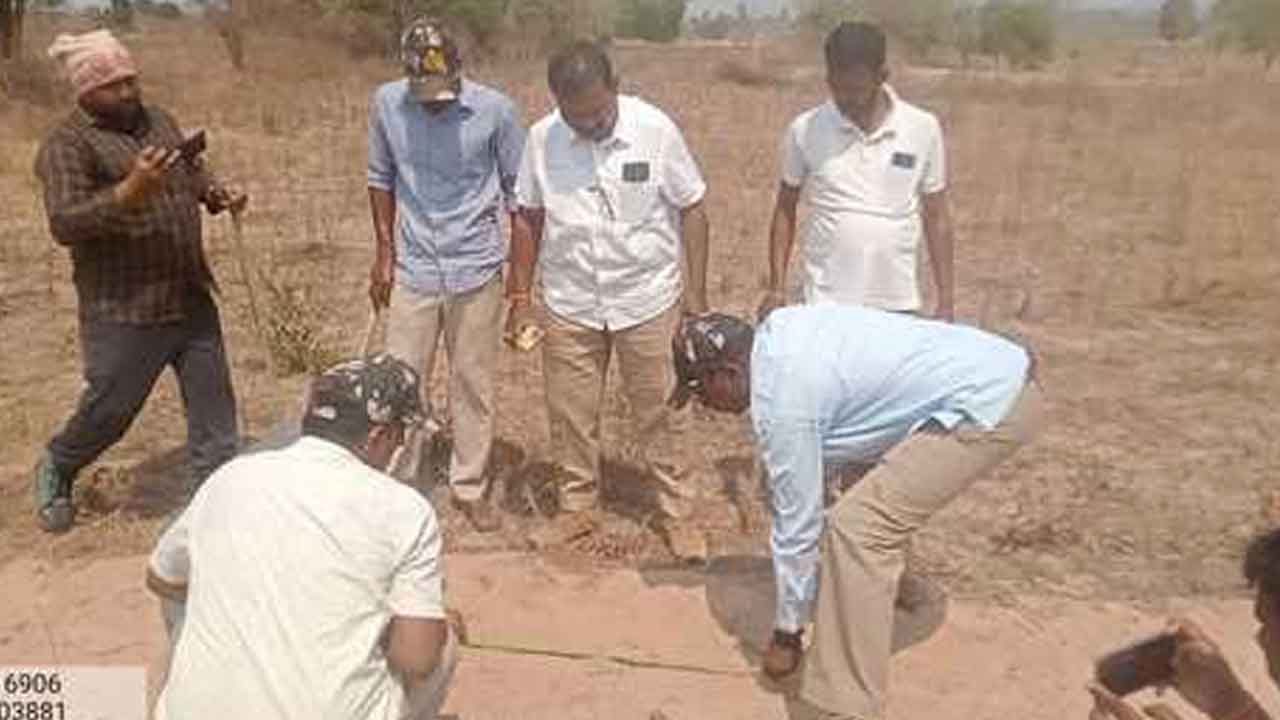 Tiger roaming | ములుగు జిల్లాలో సంచరిస్తున్న పెద్దపులి.. భయాందోళనలో ప్రజలు