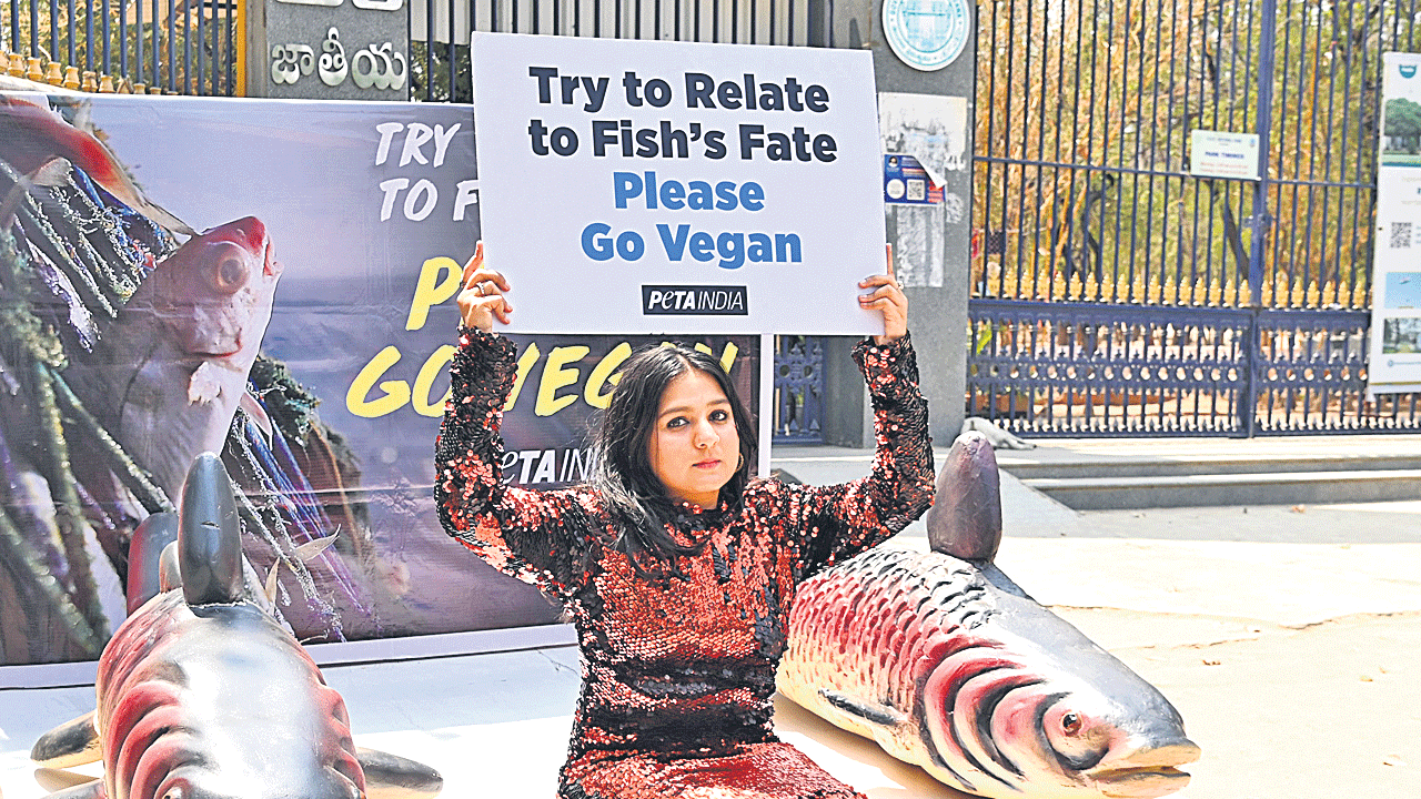 చేపలను హింసించకండి