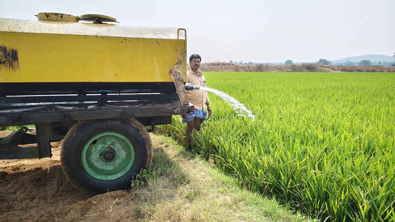 Crops | ఎండుతున్న పంటలు.. ట్యాంకర్లతో నీళ్లు పడుతున్న రైతు