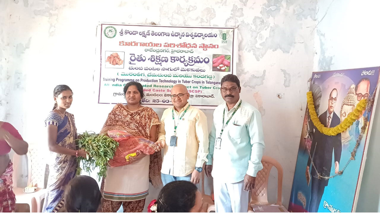 Vikarabad | చేమ దుంప, మొరంగడ్డలపై ఎస్సీ మహిళలకు అవగాహన సదుస్సు