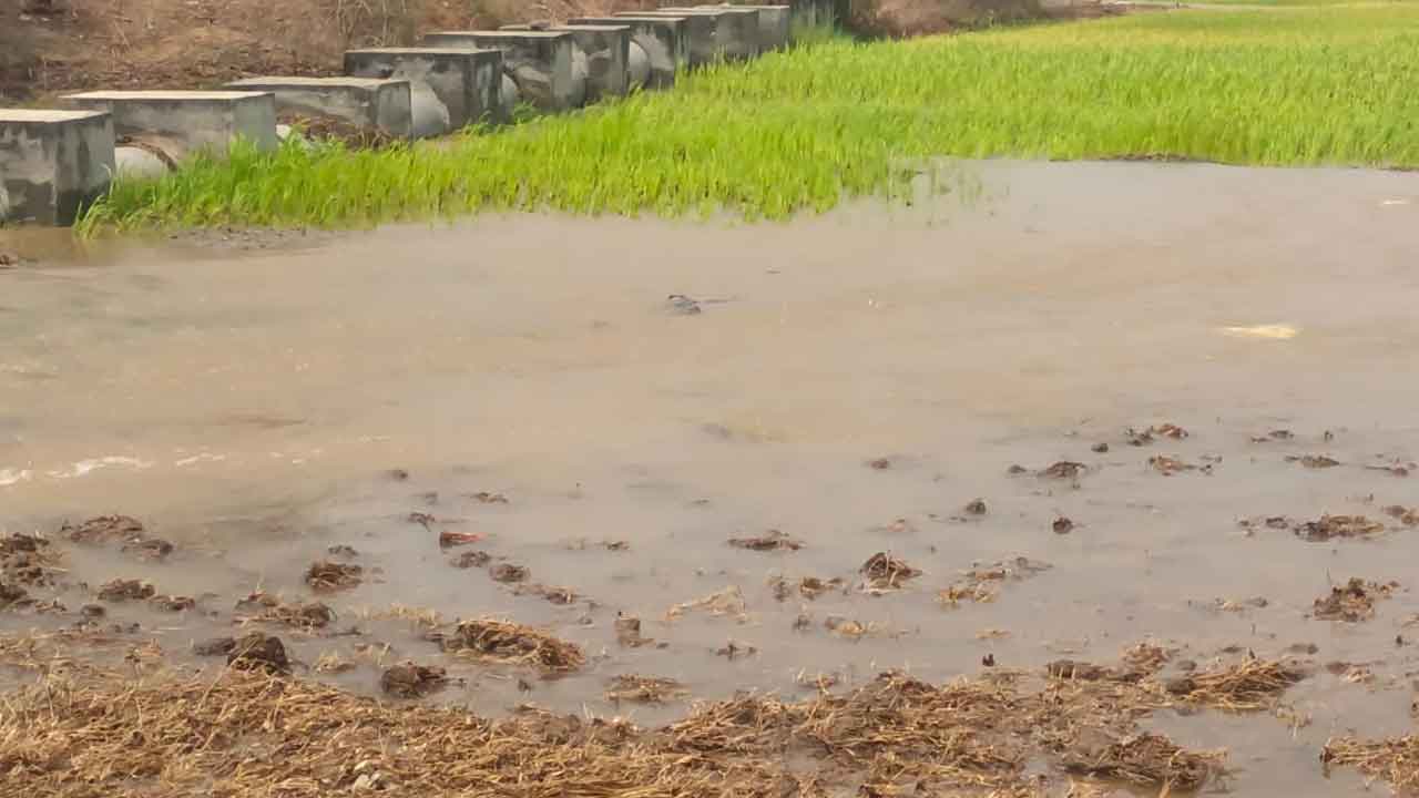 Devadula Tunnel | మోటర్ల కథ మళ్లీ మొదటికి.. దేవాదుల టన్నెల్‌కు బీటలు