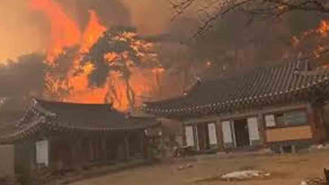 దక్షిణ కొరియాలో కార్చిచ్చు బీభత్సం