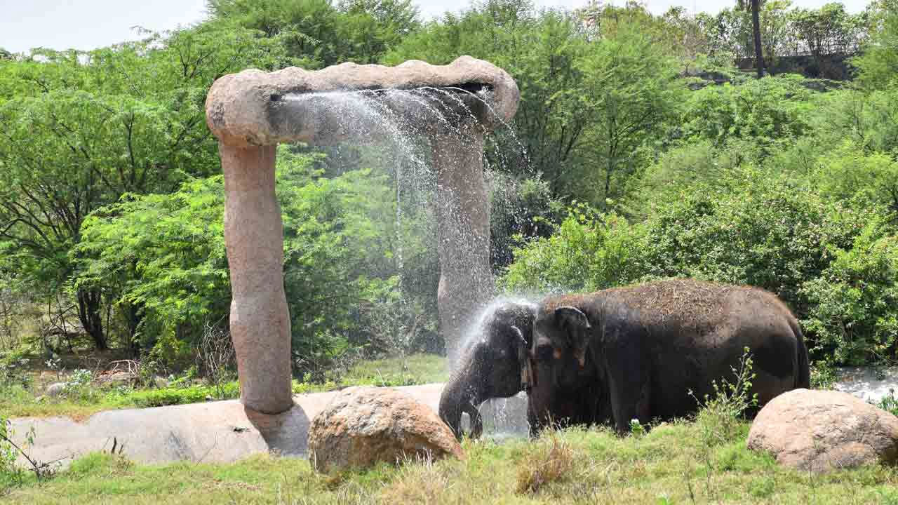 Hyderabad Zoo | హైద‌రాబాద్ జూపార్కులో జంతువులకు చల్లని తాటాకు పందిళ్లు